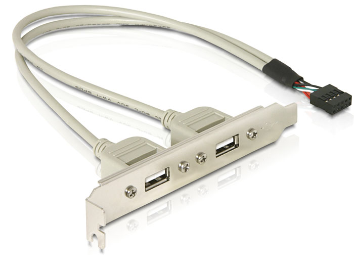 71000-Slotbracket-1x-internal-USB-9pin-to-2x-USB2-0-external-Delock_im1.png